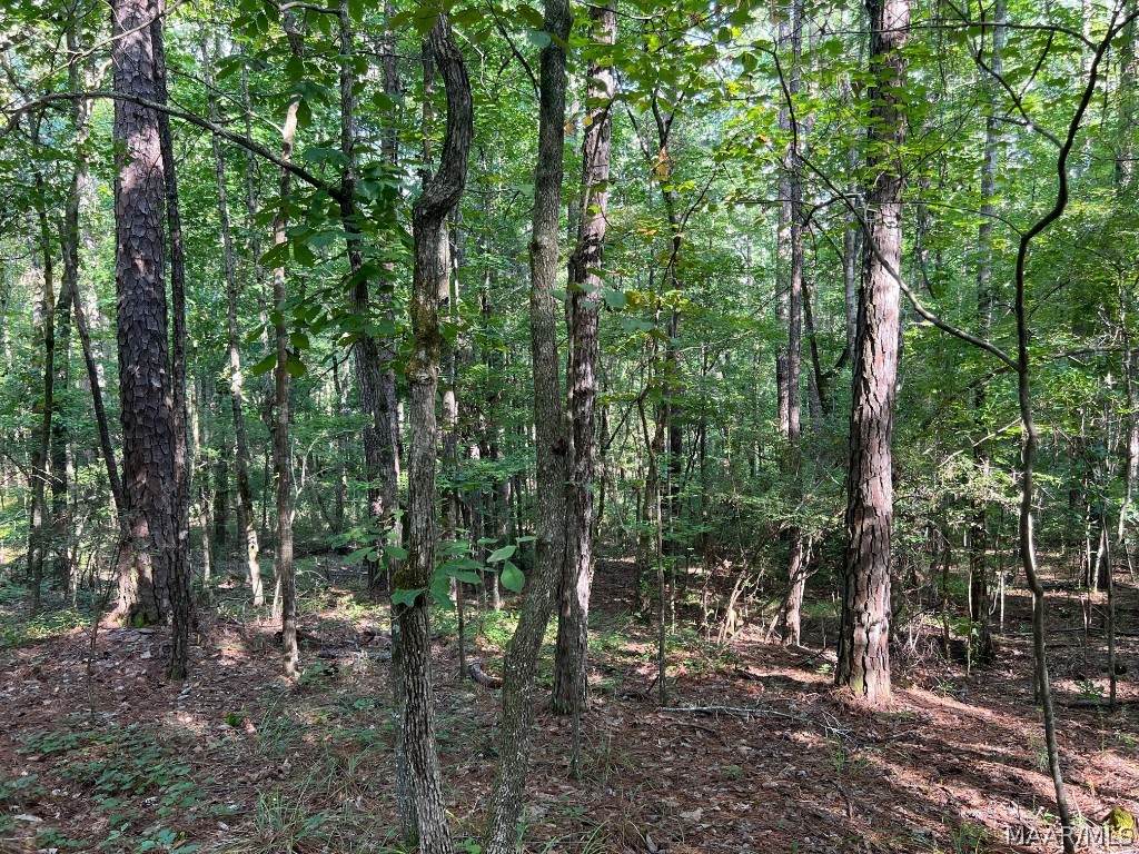 970 Indian Pines Road - Photo 1