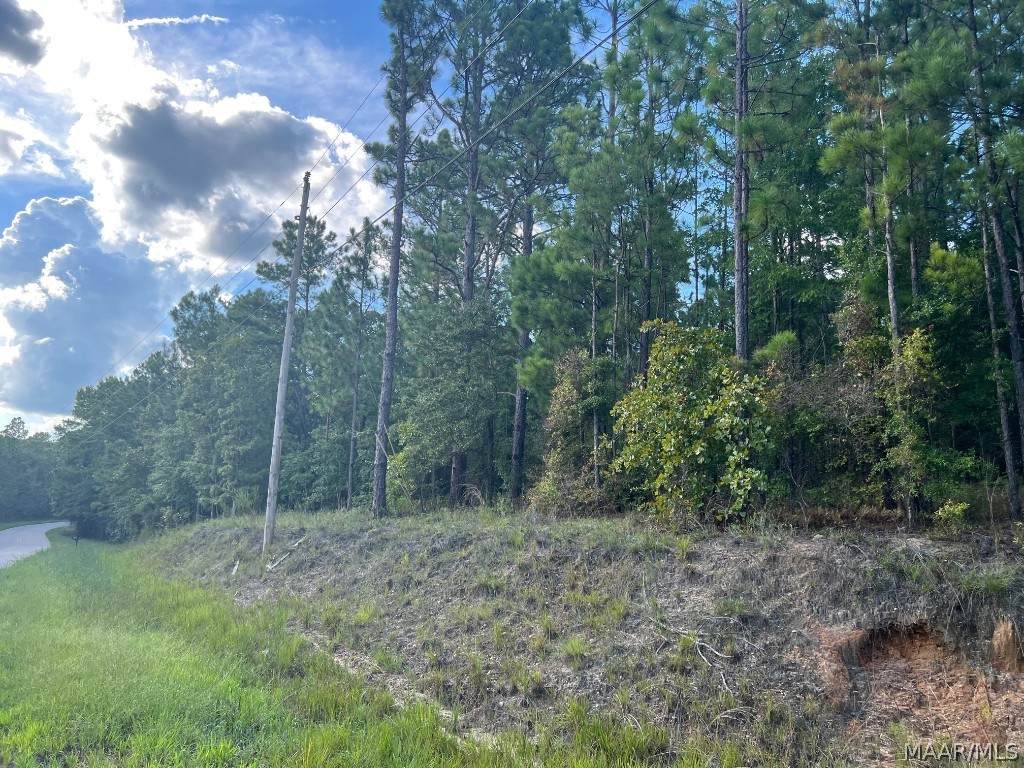 1035 Indian Pines Road - Photo 1
