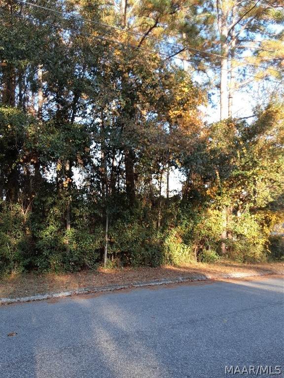 105 Myrick Drive - Photo 1