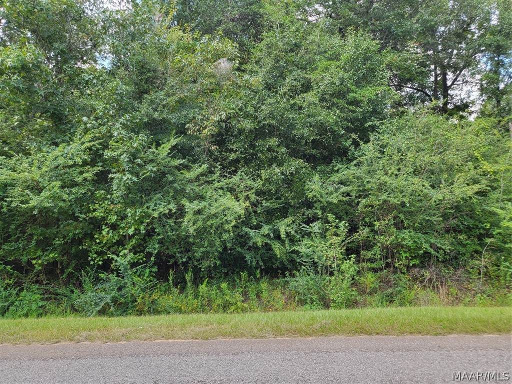 00 County Rd 85 - Photo 1