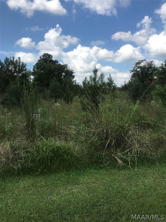 120 Wilkerson Road - Photo 1