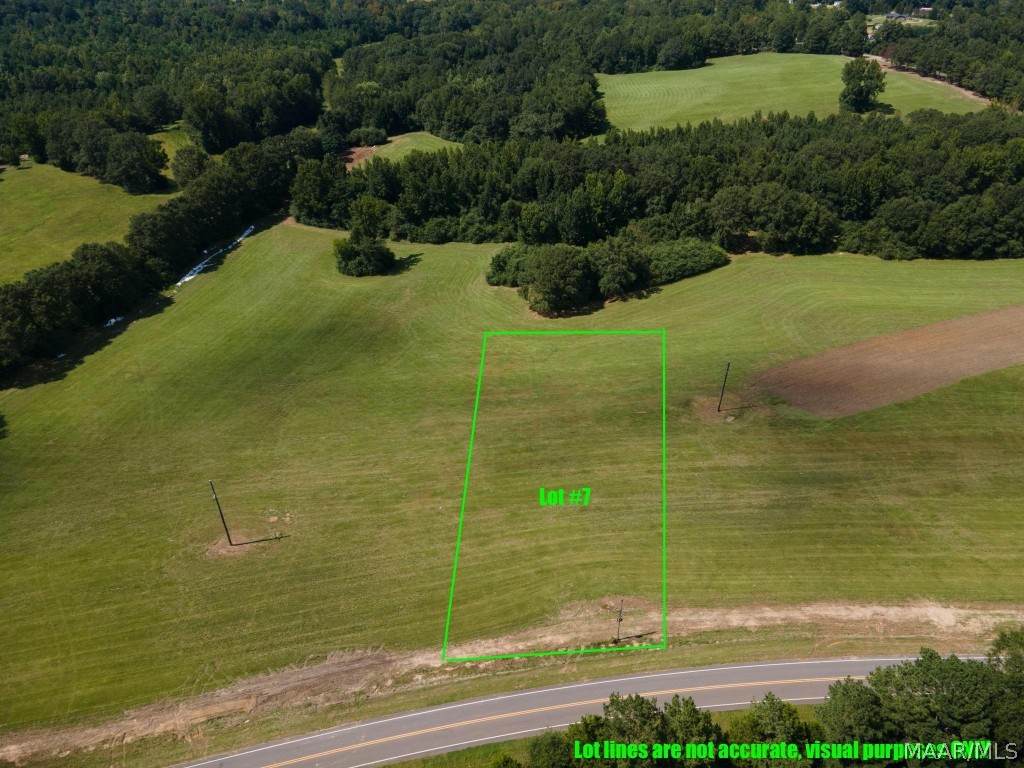 Lot #7 Burt Mill Road - Photo 1