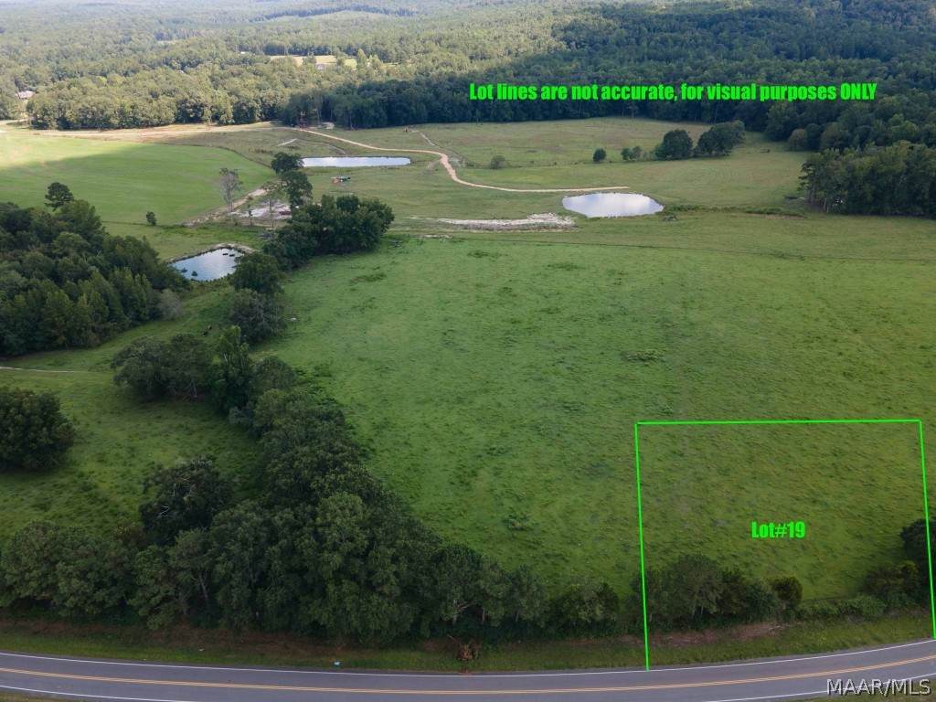 Lot #19 Burt Mill Road - Photo 1