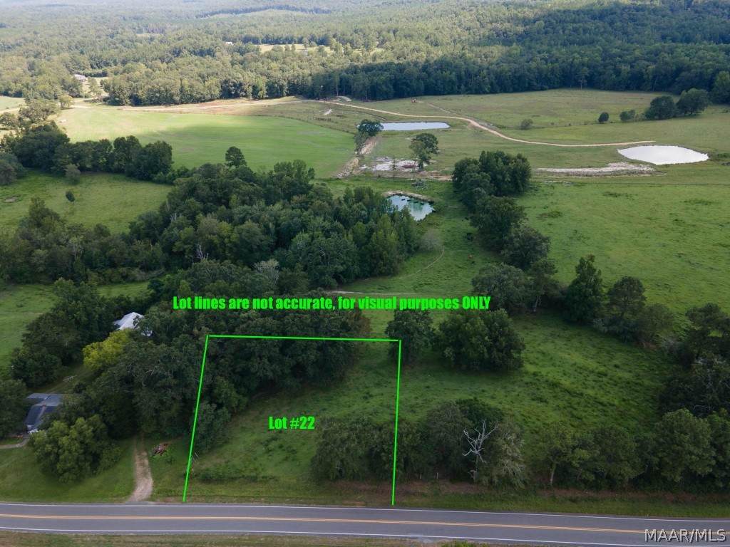 Lot #22 Burt Mill Road - Photo 1