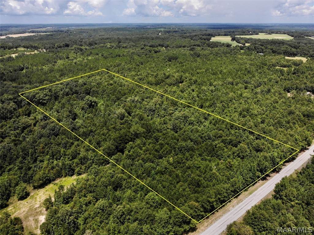 13ac County Road 37 - Photo 1