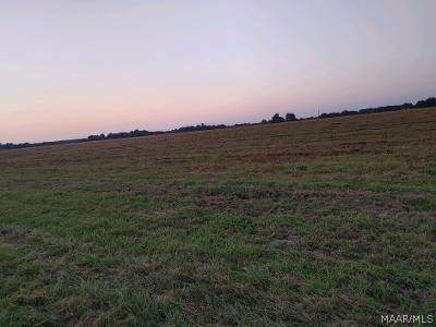 07 County Road 21 - Photo 1
