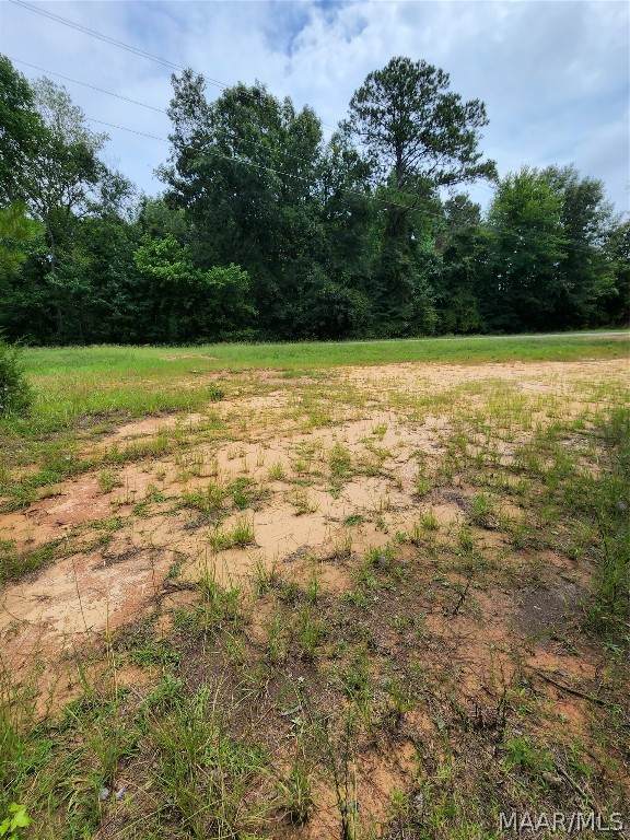 778 Enzor Road - Photo 1