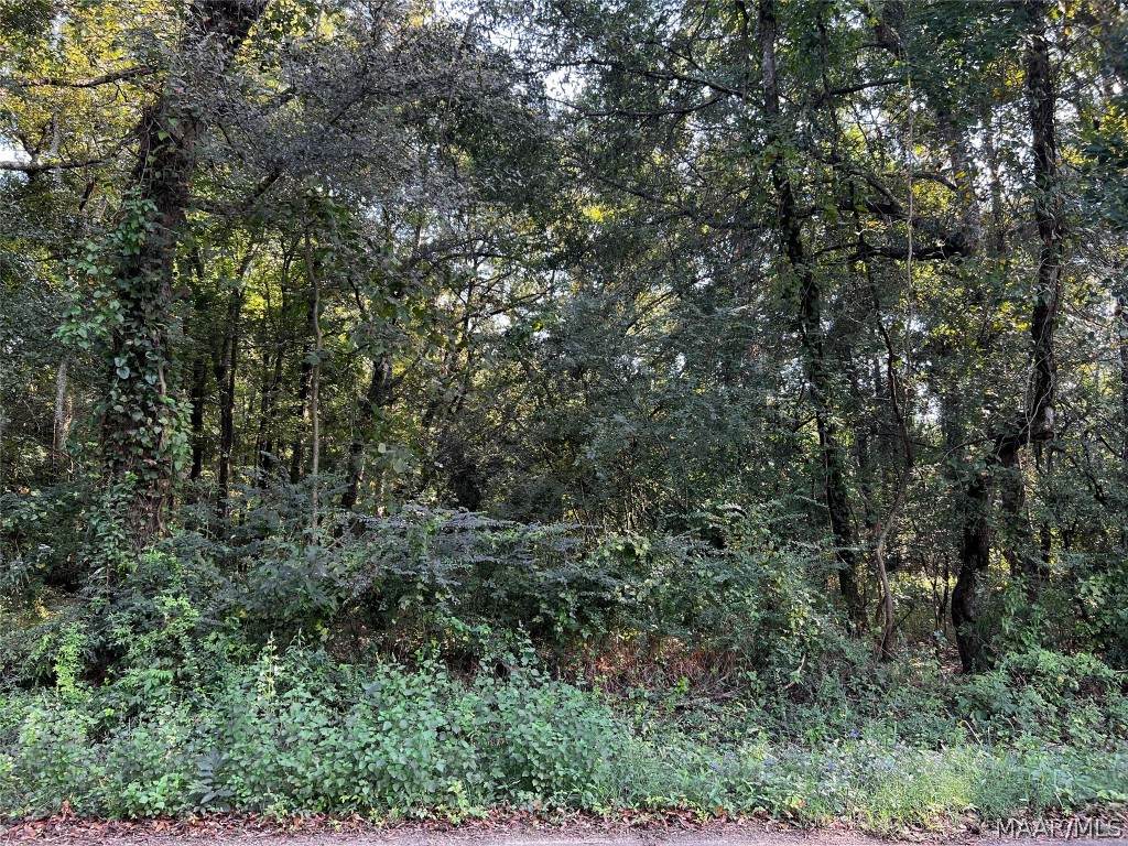 0 Washington Ferry Road - Photo 1