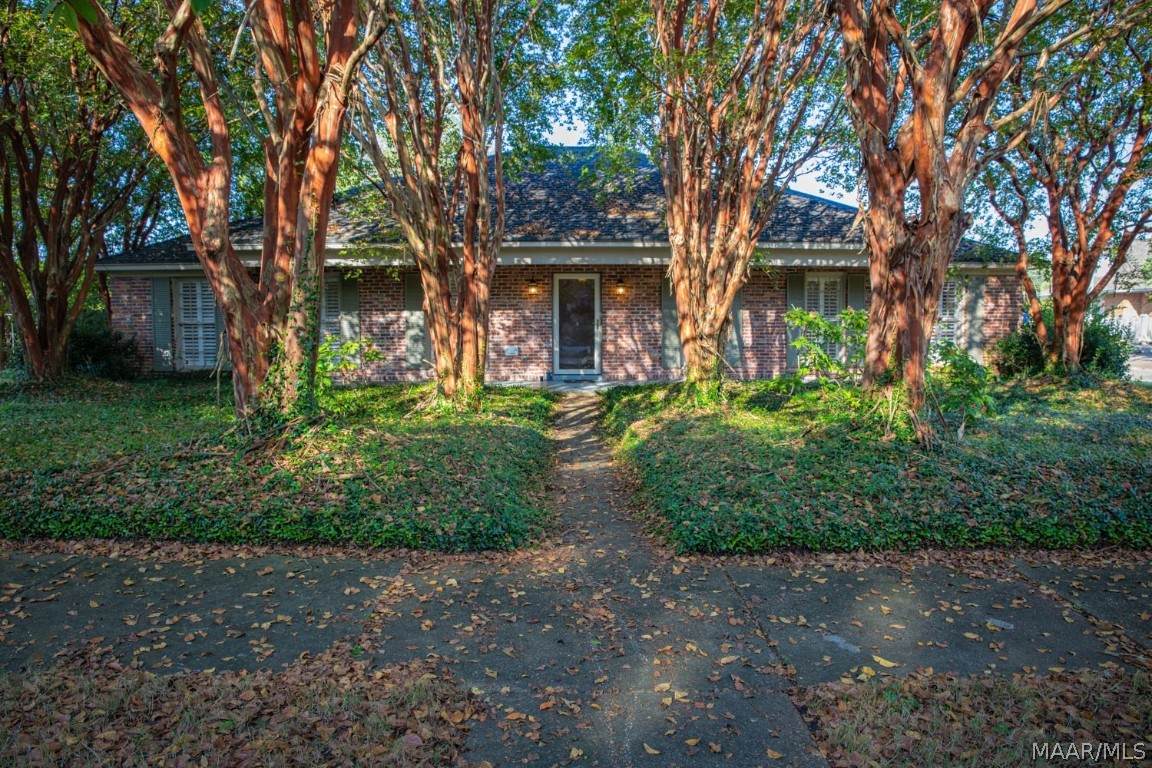 3100 Hemon Road - Photo 1