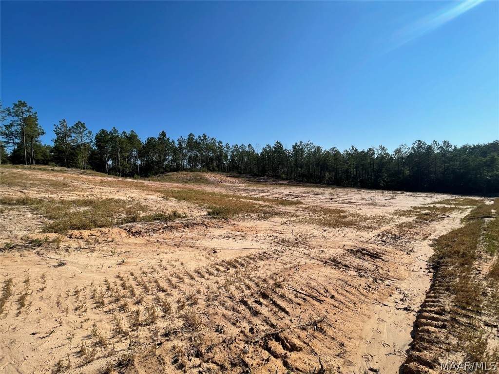 714 Happy Trails Trail - Photo 1