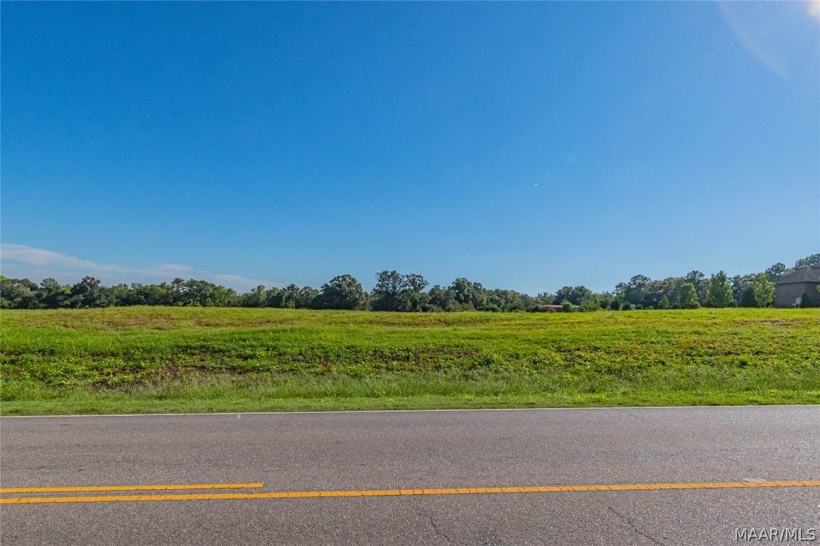0 Dale County 1 Road - Photo 1