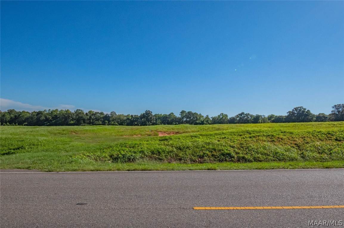 0 Dale County 1 Road - Photo 1