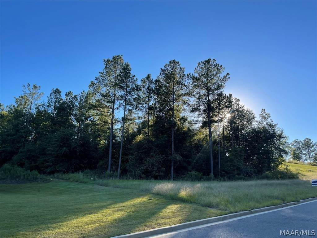 Lot 301 Brookwood Drive - Photo 1