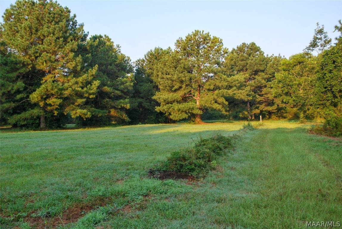 10 County Road 4 Road - Photo 1