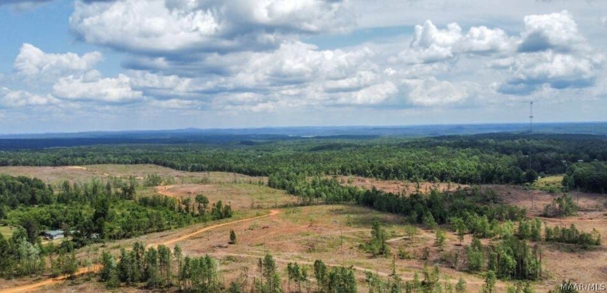 0 County Road 489 Road - Photo 1