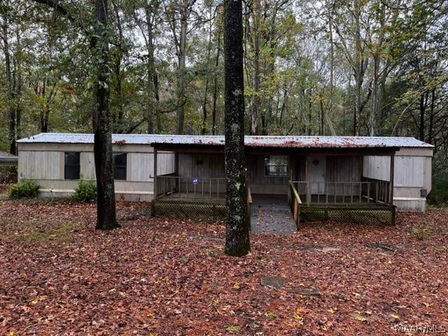 2515 County Road 129 Road - Photo 1