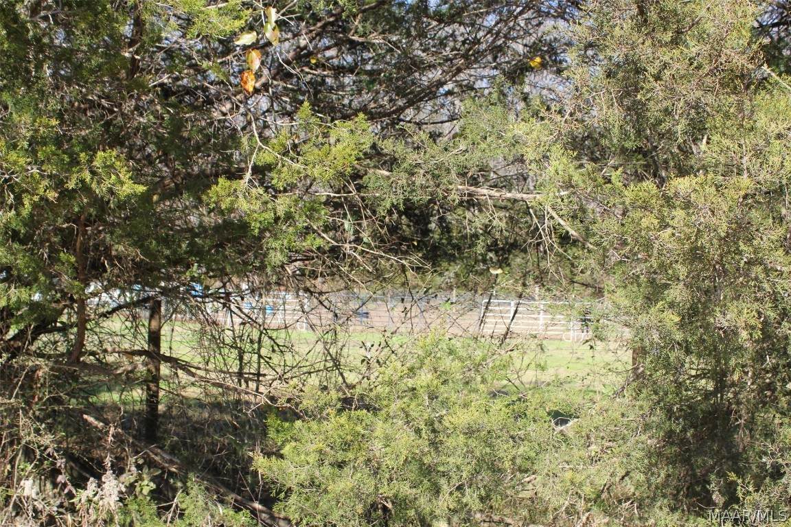 0 County Road 402 Road - Photo 1