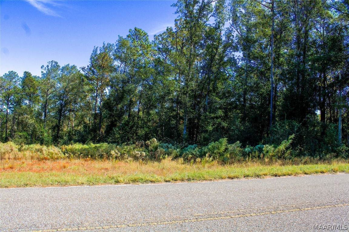 0 County Road 65 - Photo 1