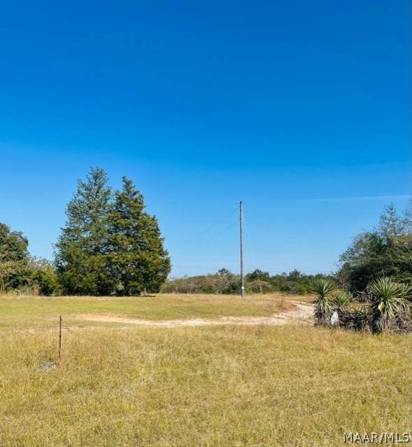 2980 Highway 82 - Photo 1