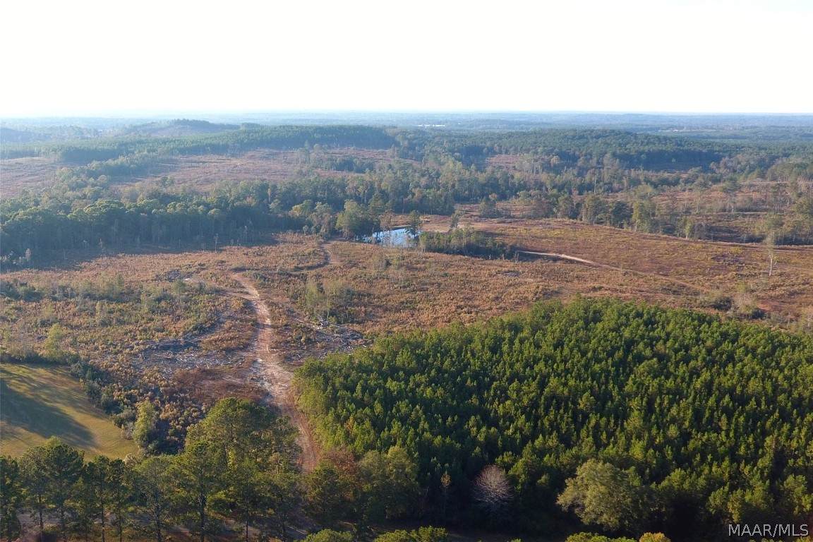 0 County Road 228 - Photo 1
