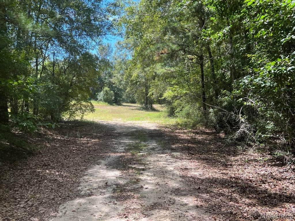 1915 County Road 330 - Photo 1
