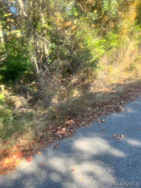 10707 Palomino Drive - Photo 1