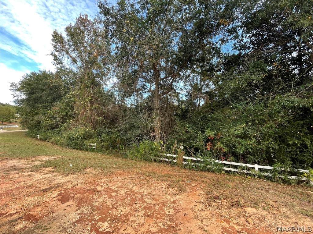 TBD County Road 558 - Photo 1