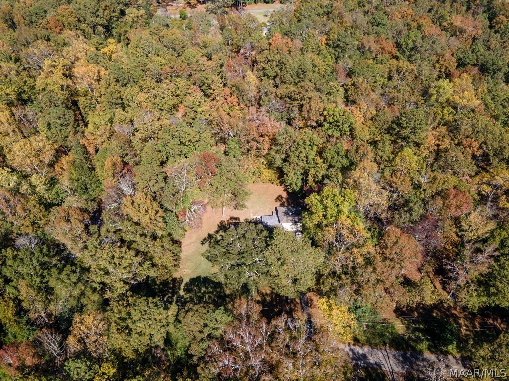421 Canyon Road - Photo 1