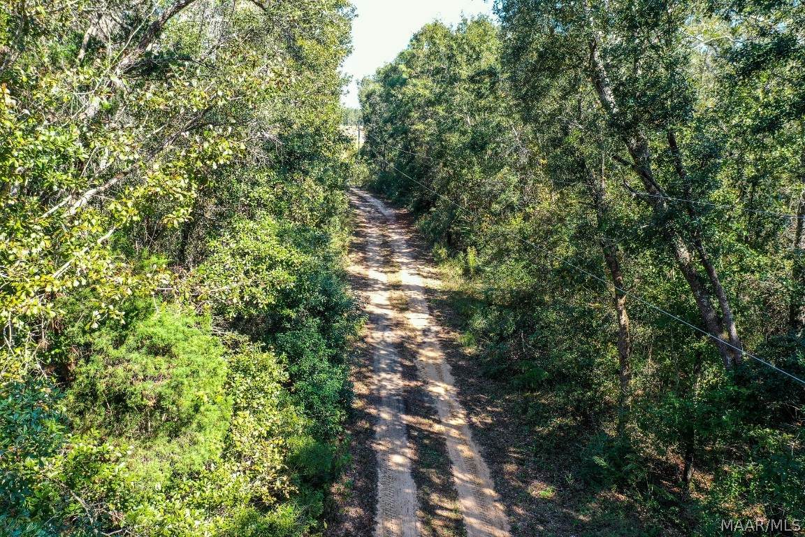 0 Fire Tower Road - Photo 1