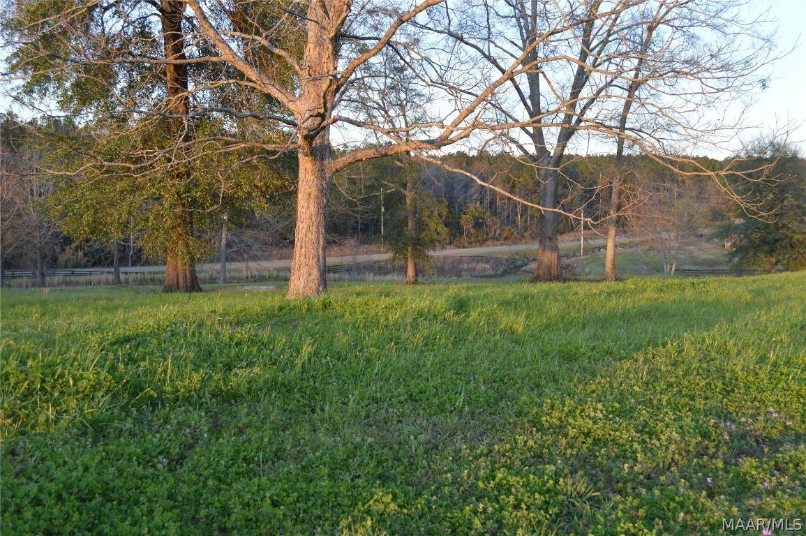 Lot 45 County Road 561 - Photo 1