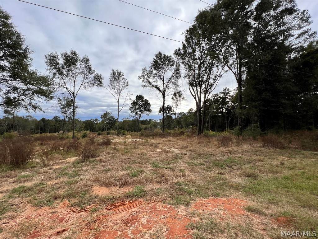 0 County Road 404 - Photo 1