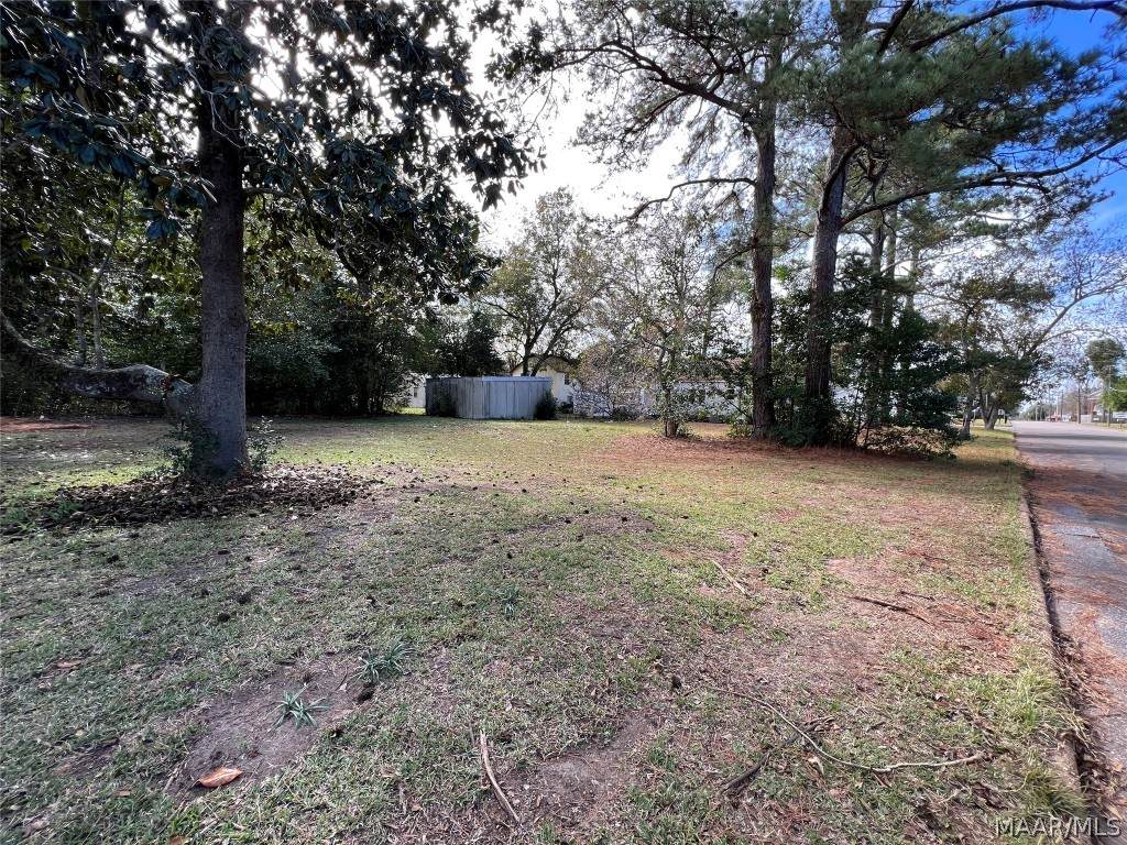 306 Birch Street - Photo 1