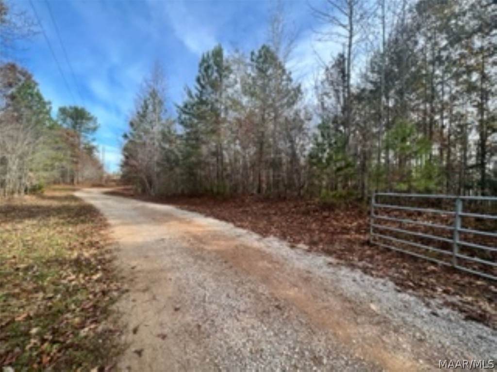 543 County Road 1043 - Photo 1
