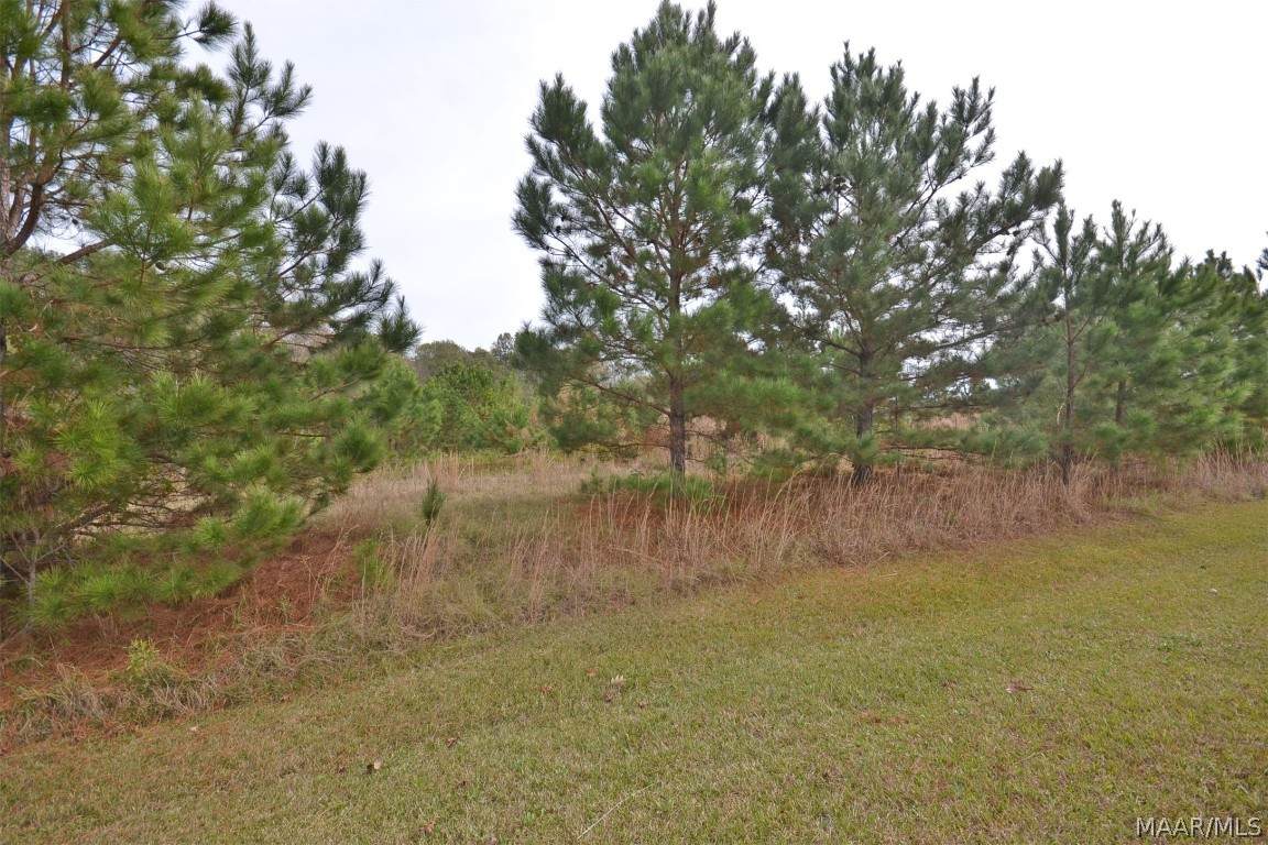 220 Chesson Hill Drive - Photo 1