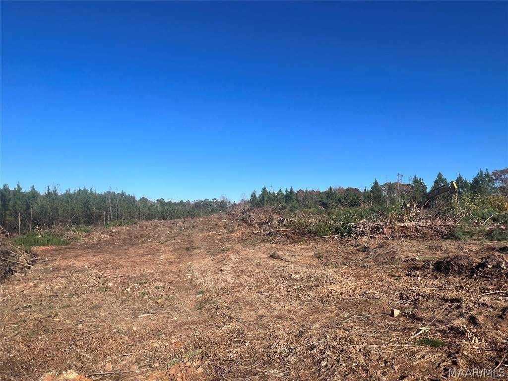0 Coosa County Road 14 Road - Photo 1