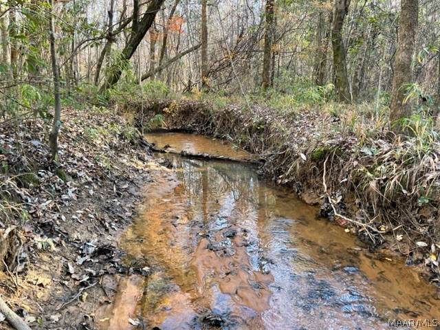 9 County Road 7736 Road - Photo 1
