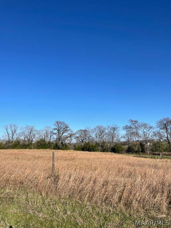 900 Kerington Lane - Photo 1