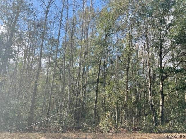 228 County Road 346 Circle - Photo 1