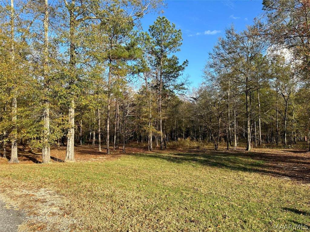 Lot 12 River Stone Court - Photo 1