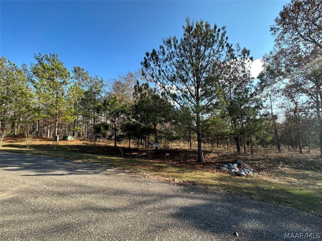 740 Ethan Lane - Photo 1