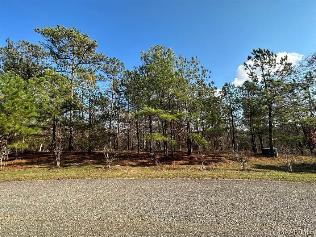 742 Ethan Lane - Photo 1