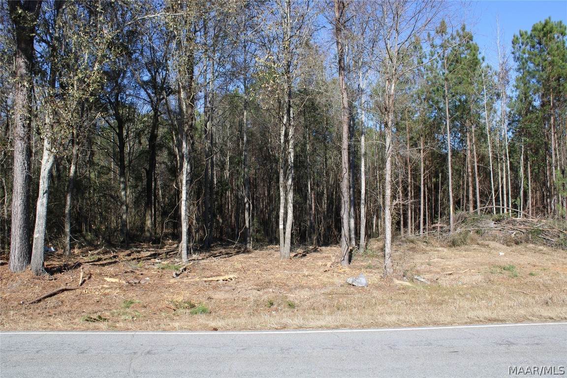 5 Central Road - Photo 1