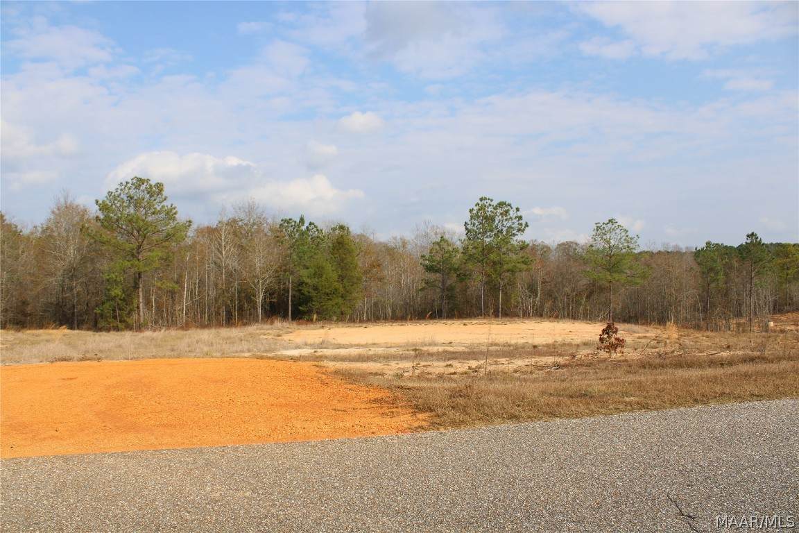 6 Madix Drive - Photo 1