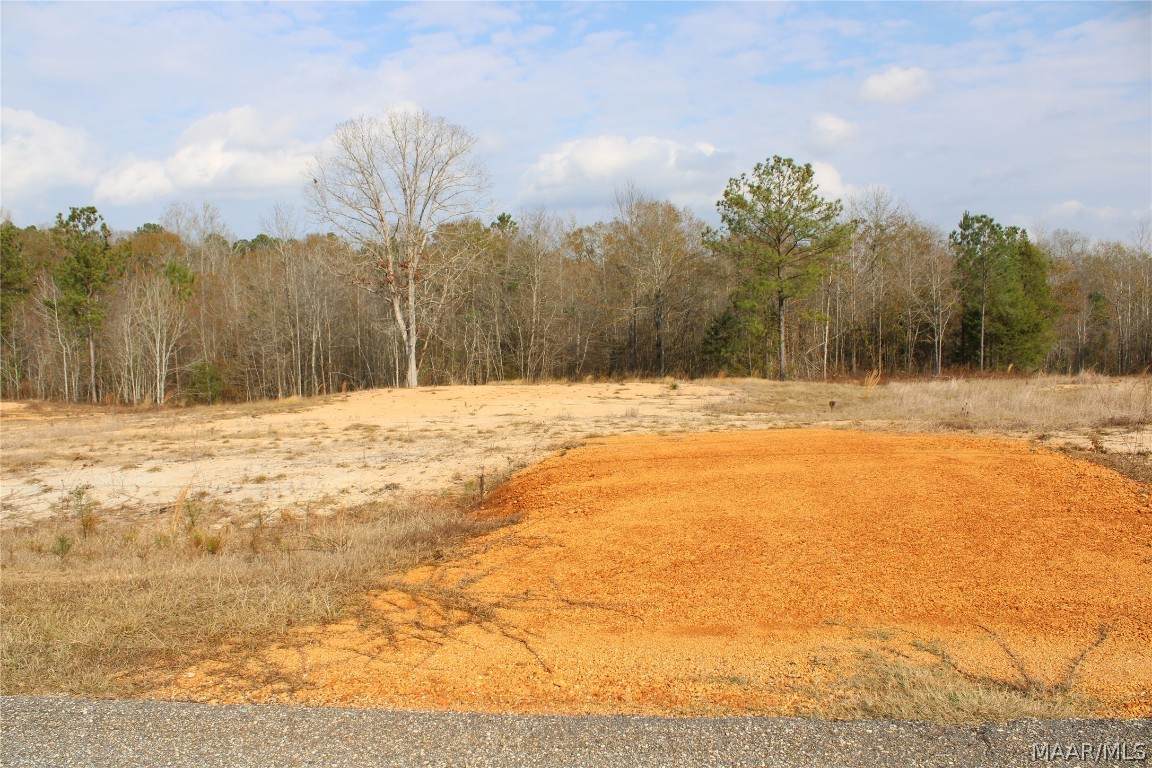 7 Madix Drive - Photo 1