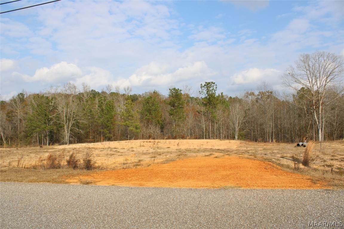 8 Madix Drive - Photo 1