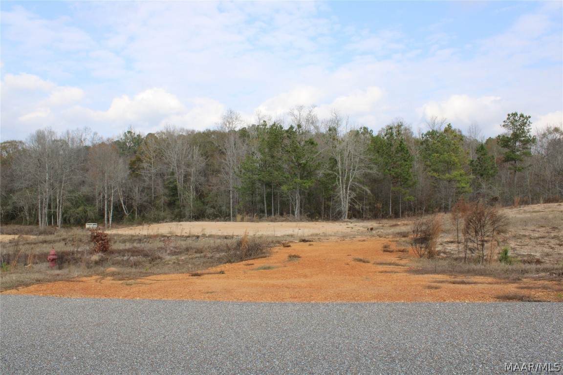 9 Madix Drive - Photo 1