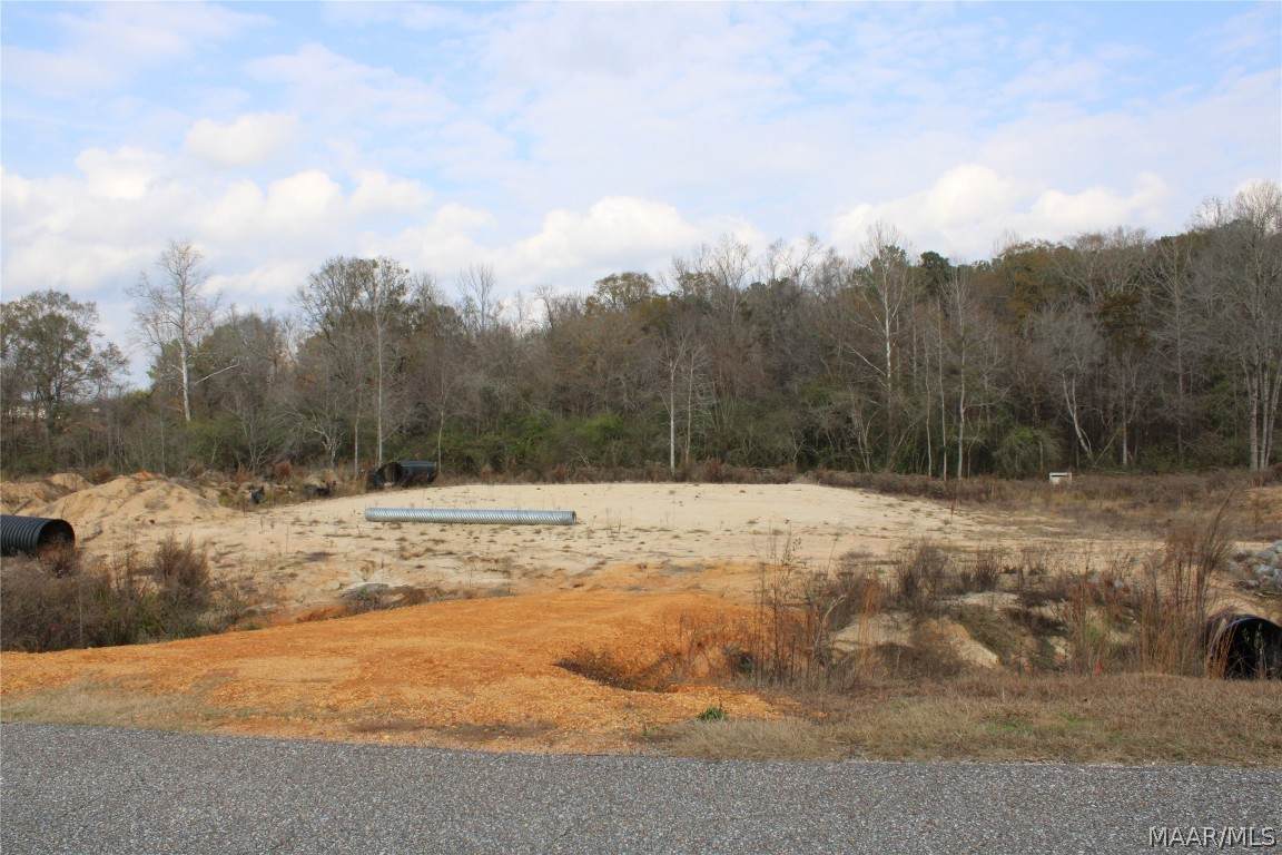 10 Madix Drive - Photo 1