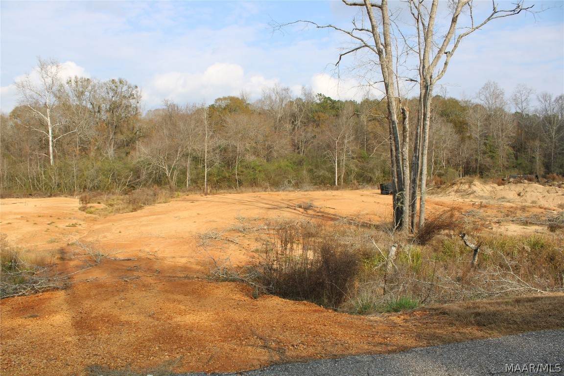 11 Madix Drive - Photo 1