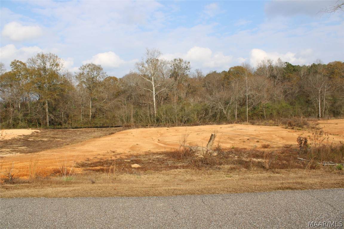 12 Madix Drive - Photo 1