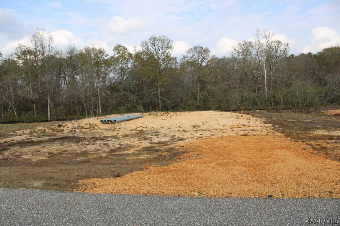 13 Madix Drive - Photo 1
